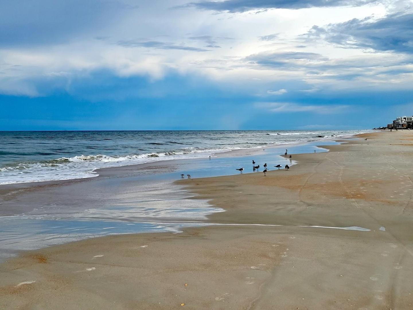 404 - Beautiful 2/2 Ocean View Διαμέρισμα New Smyrna Beach Εξωτερικό φωτογραφία